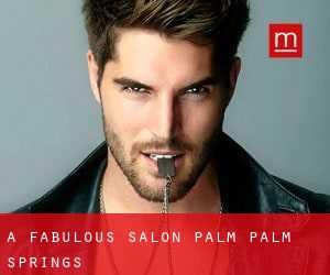 A Fabulous Salon Palm (Palm Springs)