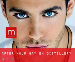 After Hour Gay en Distillery District