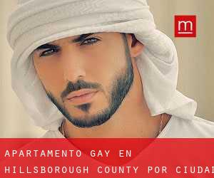 Apartamento Gay en Hillsborough County por ciudad - página 4