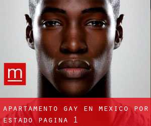 Apartamento Gay en México por Estado - página 1