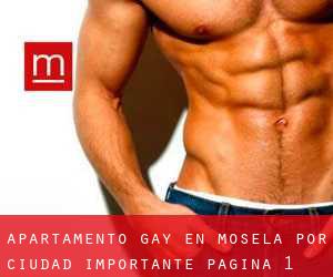 Apartamento Gay en Mosela por ciudad importante - página 1