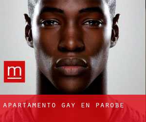 Apartamento Gay en Parobé