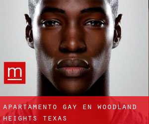 Apartamento Gay en Woodland Heights (Texas)