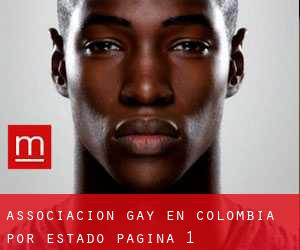 Associacion Gay en Colombia por Estado - página 1