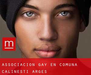 Associacion Gay en Comuna Călineşti (Argeş)