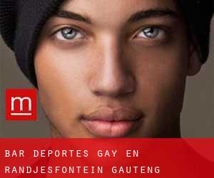 Bar Deportes Gay en Randjesfontein (Gauteng)
