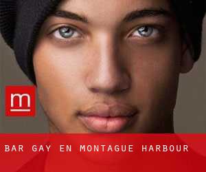 Bar Gay en Montague Harbour