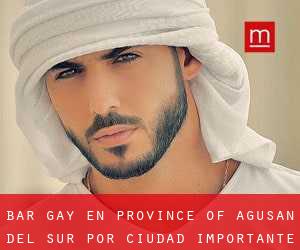 Bar Gay en Province of Agusan del Sur por ciudad importante - página 1