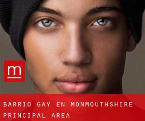 Barrio Gay en Monmouthshire principal area