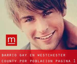 Barrio Gay en Westchester County por población - página 1