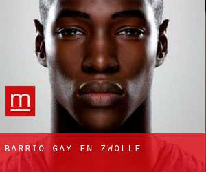 Barrio Gay en Zwolle