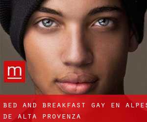 Bed and Breakfast Gay en Alpes de Alta Provenza