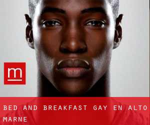 Bed and Breakfast Gay en Alto Marne