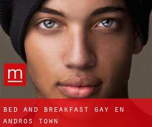 Bed and Breakfast Gay en Andros Town