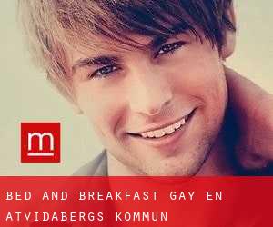Bed and Breakfast Gay en Åtvidabergs Kommun
