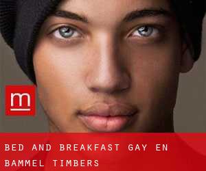 Bed and Breakfast Gay en Bammel Timbers