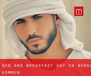 Bed and Breakfast Gay en Bergs Kommun