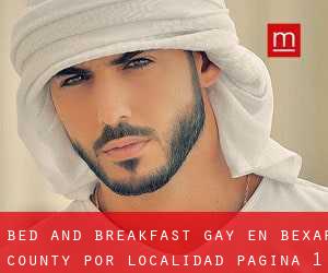 Bed and Breakfast Gay en Bexar County por localidad - página 1