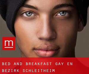 Bed and Breakfast Gay en Bezirk Schleitheim