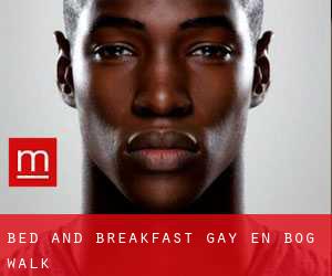 Bed and Breakfast Gay en Bog Walk