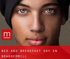 Bed and Breakfast Gay en Brandermill