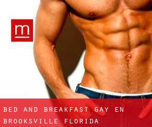 Bed and Breakfast Gay en Brooksville (Florida)