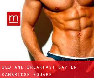 Bed and Breakfast Gay en Cambridge Square