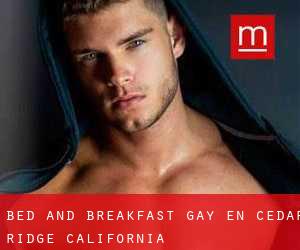 Bed and Breakfast Gay en Cedar Ridge (California)