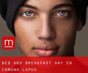 Bed and Breakfast Gay en Comuna Lăpuş