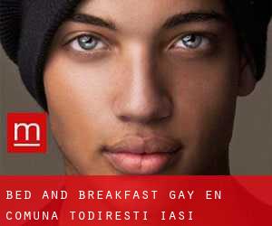 Bed and Breakfast Gay en Comuna Todireşti (Iaşi)