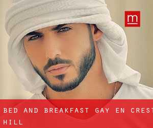 Bed and Breakfast Gay en Crest Hill