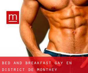 Bed and Breakfast Gay en District de Monthey