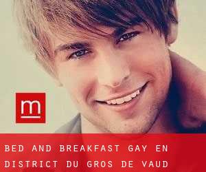 Bed and Breakfast Gay en District du Gros-de-Vaud