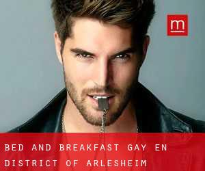 Bed and Breakfast Gay en District of Arlesheim