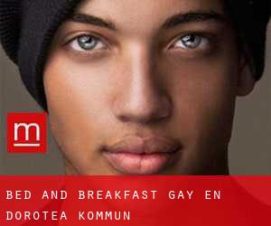 Bed and Breakfast Gay en Dorotea Kommun