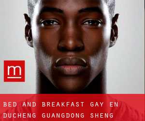 Bed and Breakfast Gay en Ducheng (Guangdong Sheng)
