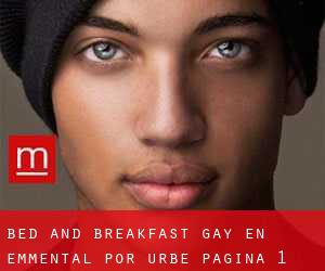 Bed and Breakfast Gay en Emmental por urbe - página 1