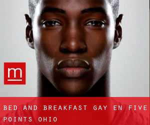 Bed and Breakfast Gay en Five Points (Ohio)