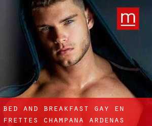 Bed and Breakfast Gay en Frettes (Champaña-Ardenas)