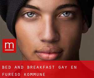 Bed and Breakfast Gay en Furesø Kommune