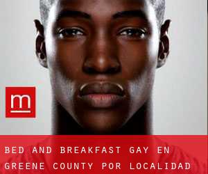 Bed and Breakfast Gay en Greene County por localidad - página 1