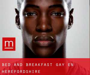 Bed and Breakfast Gay en Herefordshire