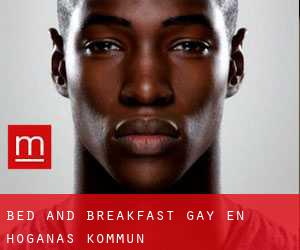 Bed and Breakfast Gay en Höganäs Kommun