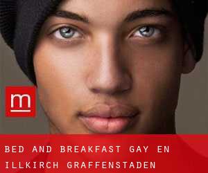 Bed and Breakfast Gay en Illkirch-Graffenstaden