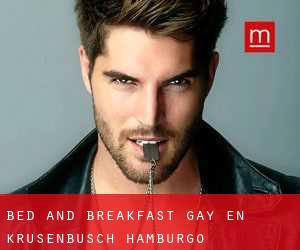 Bed and Breakfast Gay en Krusenbusch (Hamburgo)