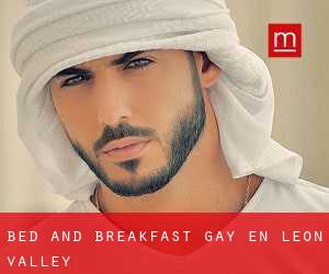 Bed and Breakfast Gay en Leon Valley