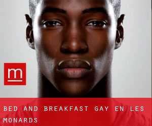 Bed and Breakfast Gay en Les Monards