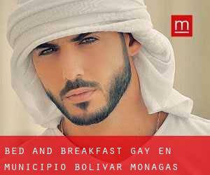Bed and Breakfast Gay en Municipio Bolívar (Monagas)