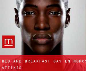 Bed and Breakfast Gay en Nomós Attikís