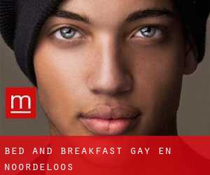 Bed and Breakfast Gay en Noordeloos